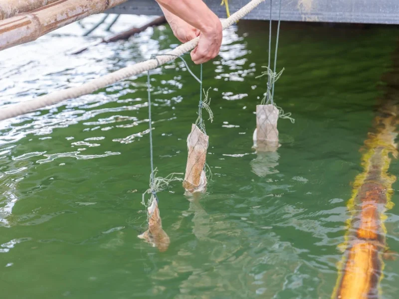 Ranong tour Photo -29