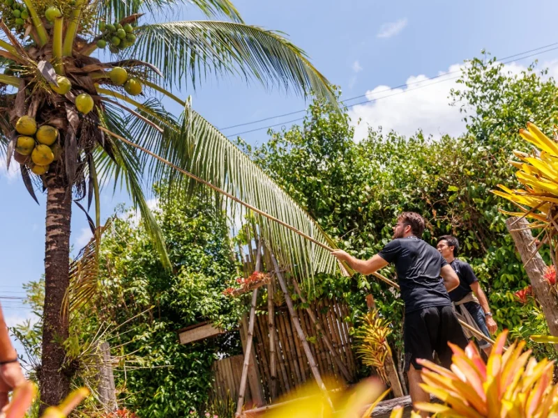 Ranong tour Photo -81